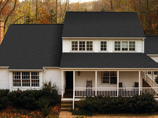 Certain Landmard Roofing Color - Moire Black